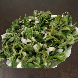 زعتر